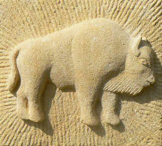 Bison - pierre des Eyzies - 2008 Bison - Sculpture animalière en pierre, bas-relief, création de Fred SOULA sculpteur en Dordogne